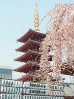 Tokyo office